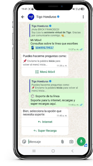Opciones de soporte con Internet