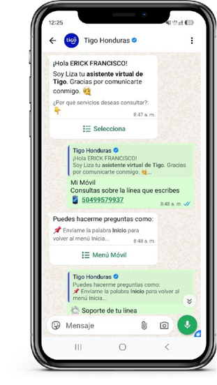 Submenú con la opción Soporte de tu Línea